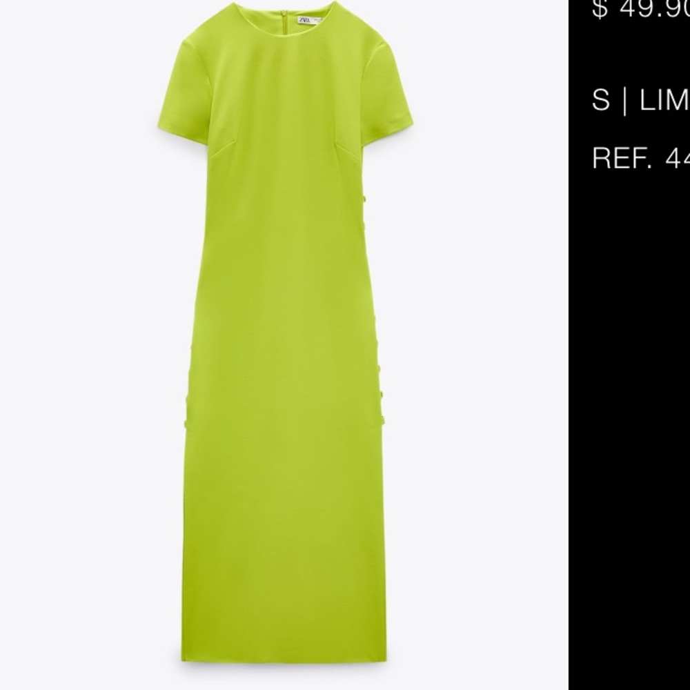 Zara dress